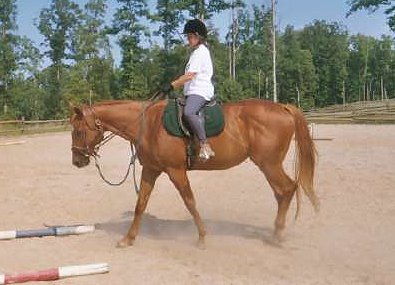 This is my first ride on Viva.