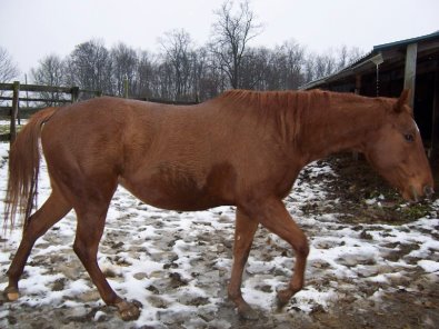 Viva Vicky in December 2005