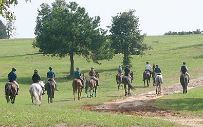 Trail ride at the Olympic Horse Park in Atlanta, GA