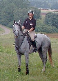 Bits & Bytes Farm Thoroughbred for sale - Grayboo 