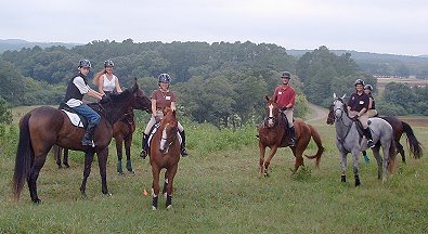 Bits & Bytes Farm horses at the Shamrock Hounds poker ride.