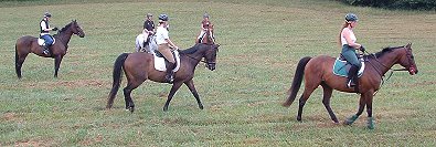 Bits & Bytes Farm horses at the Shamrock Hounds poker ride.