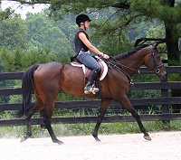 First ride with Finder's Chance