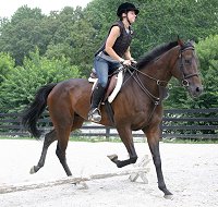 First ride with Finder's Chance