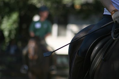 Welcome to Bits & Bytes Farm where you will find OTTBs retrained to be sport horses. Photo credit.copyright Chris Laurenceau