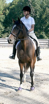 Most Always a Lady was one of our 25 Special Horses from one trainer. 