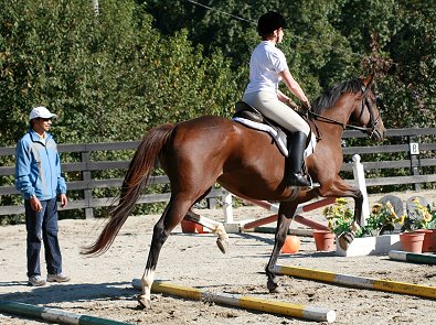 Imtiaz Anees and Most Always a Lady