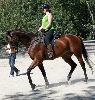 Knight Villain won almost $300,000 and now he is enjoying a second career in dressage. October 7, 2006