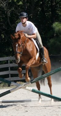 Light Artillery is a Thoroughbred Horse for Sale at Bits & Bytes Farm.