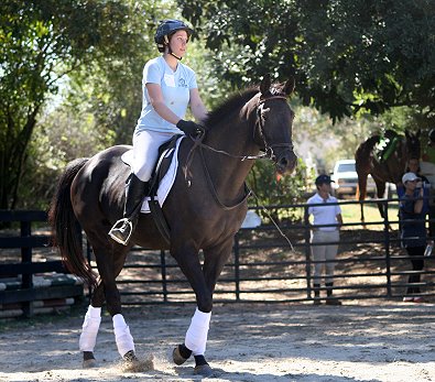 OTTB - So Romeo learns dressage with his new mom- Niki Rawls. October 7, 2006