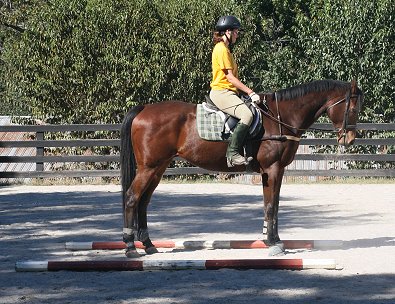 Tuck's St. Aly and Conny Moebes.