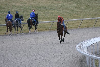 Horses work both directions on the track at the same time.